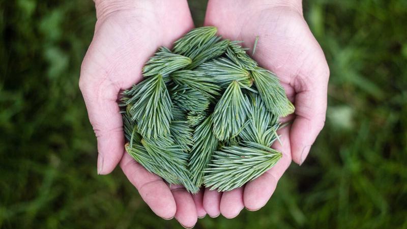公海赌船游戏710探索博弈新境界